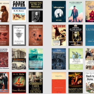 1000 Timeless Classic & Famous Novels – Digital Collection | PLR | 100% Copyright-Free